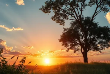 Níveis de energia e saúde: Descubra suas influências no bem-estar