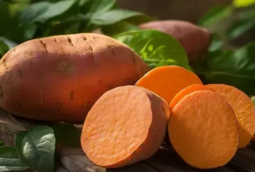 Benefícios da Batata-Doce para a Saúde: Conheça Seus Poderes Surpreendentes